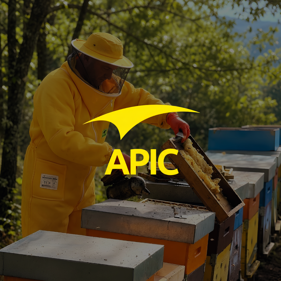 APIC